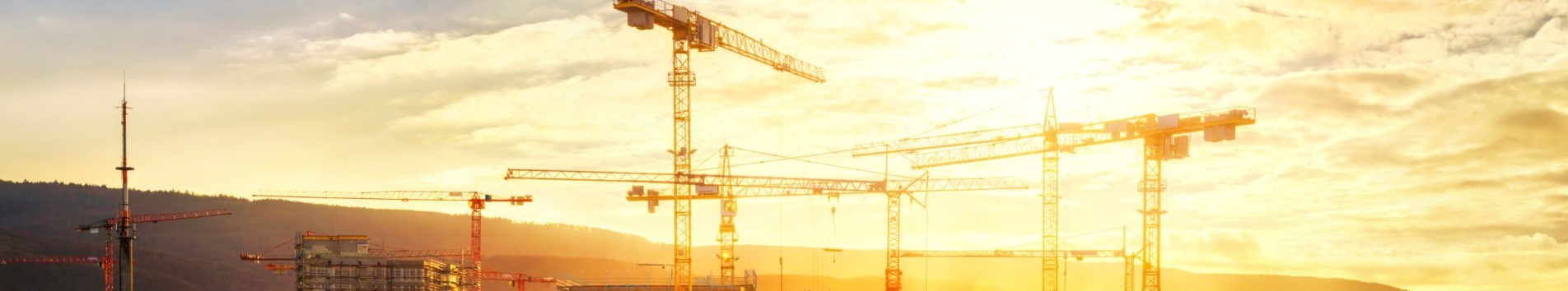 Trồng 1.000 cây xanh tại Công viên trung tâm